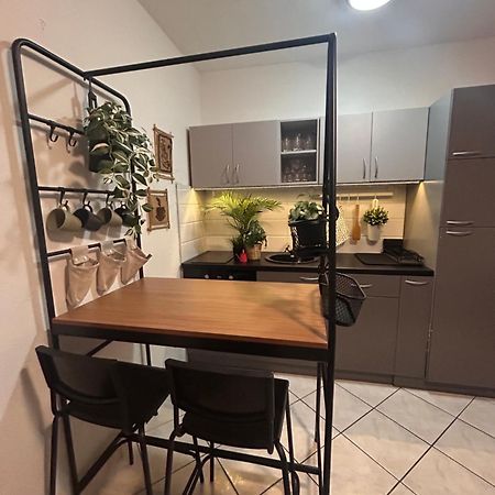 Studio Lucica Petrovac Екстериор снимка